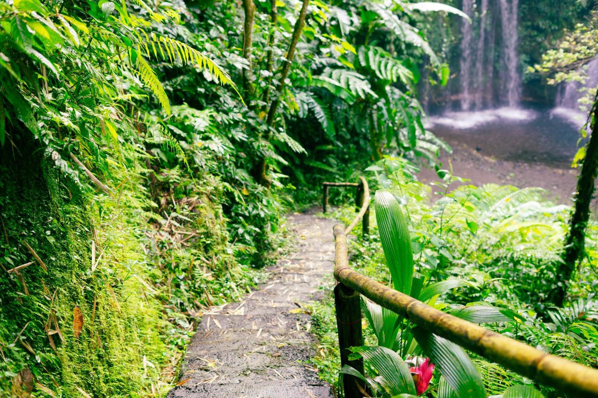 Santya Loka Lodge & Twin Waterfall Jatiluwih Exterior foto