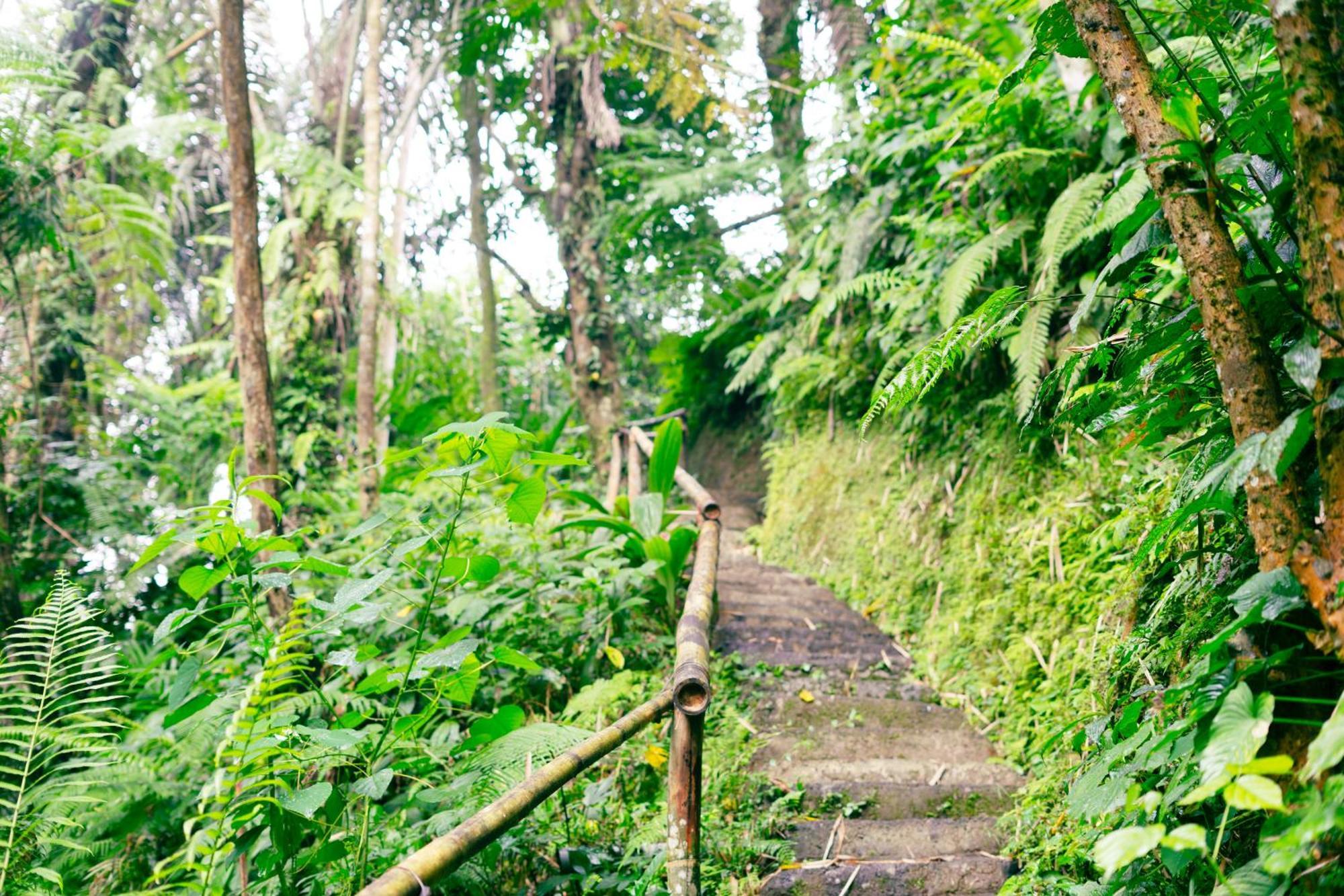 Santya Loka Lodge & Twin Waterfall Jatiluwih Exterior foto