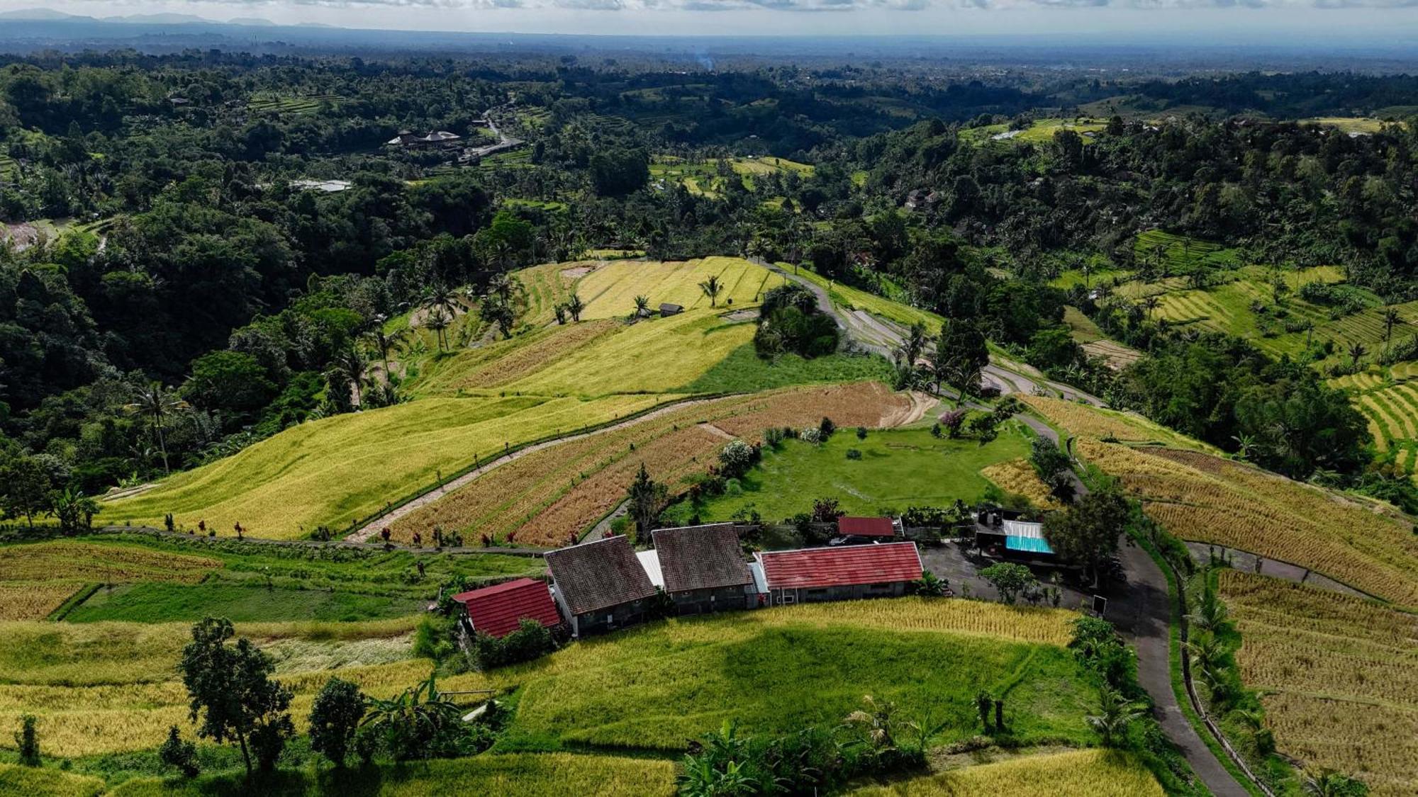 Santya Loka Lodge & Twin Waterfall Jatiluwih Exterior foto